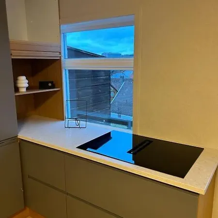 アパート Sentralt Hus Med Egen Parkering エーゲルスン